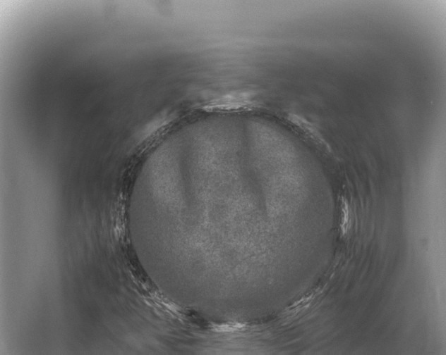 X0000062851350200601171500