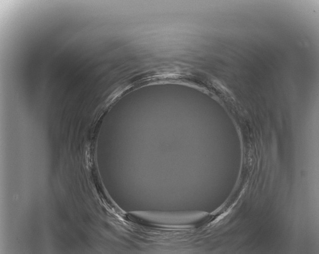 X0000062851353200601171500