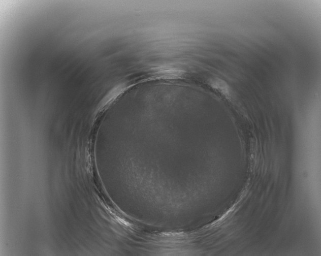 X0000062851354200601171500