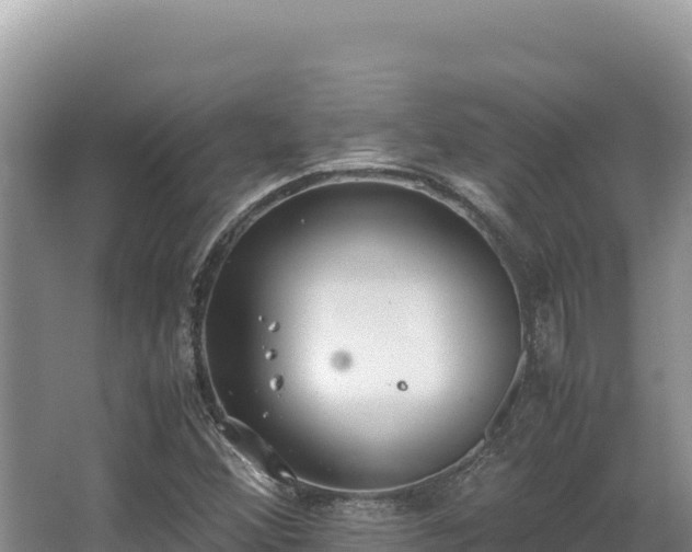 X0000062851356200601171500