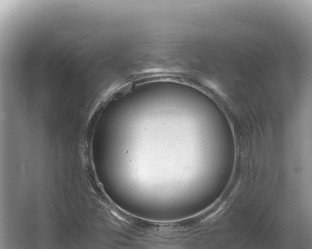 X0000062851357200601171500