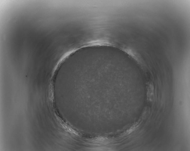 X0000062851358200601171500