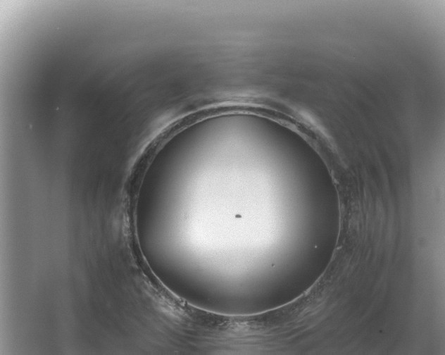 X0000062851360200601171500