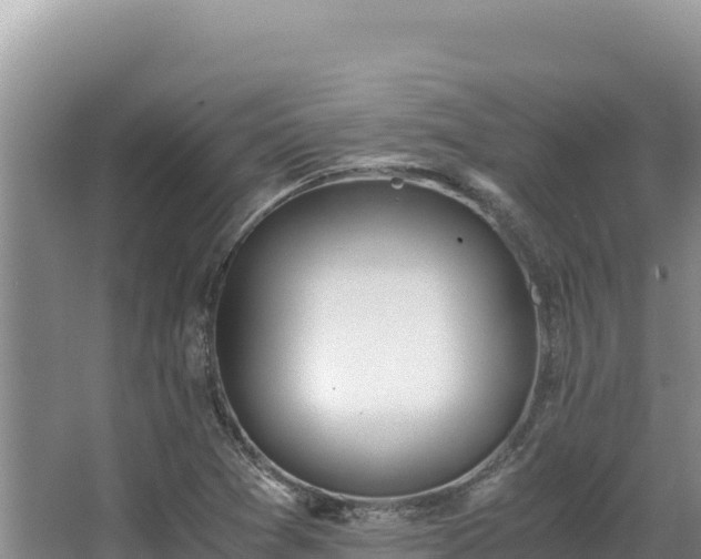 X0000062851361200601171500