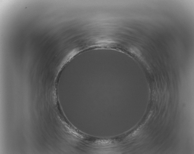 X0000062851362200601171500