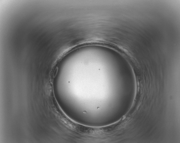 X0000062851363200601171500