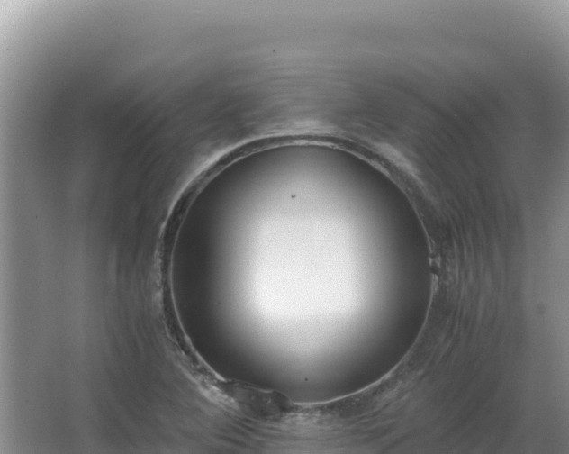 X0000062851364200601171500