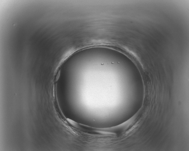 X0000062851365200601171500