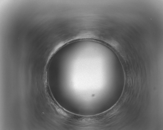 X0000062851366200601171500