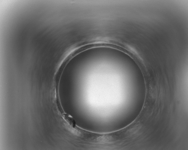 X0000062851368200601171500