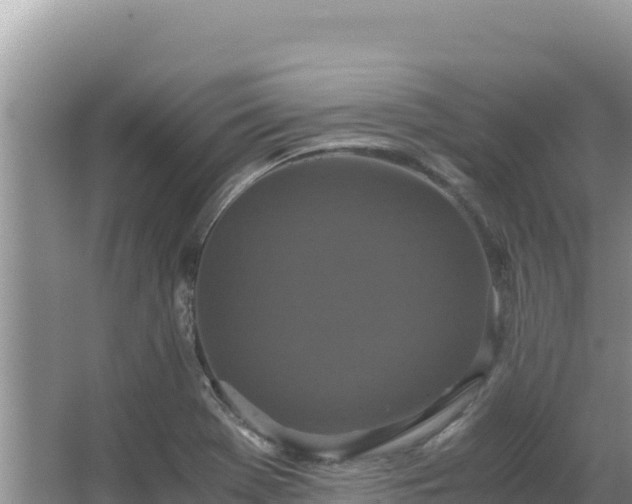 X0000062851369200601171500