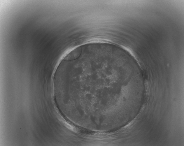 X0000062851371200601171500