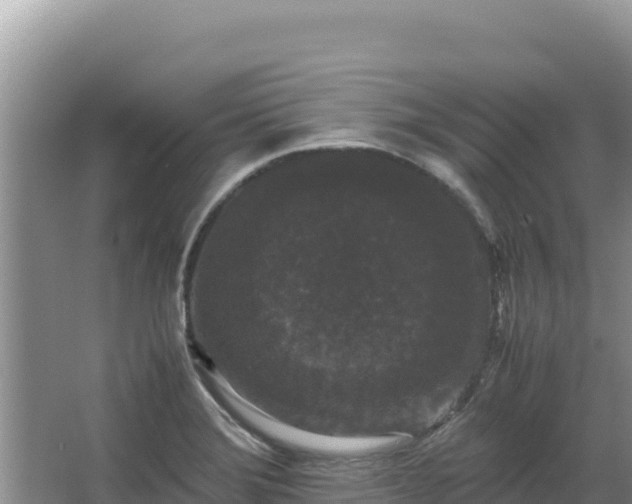 X0000062851372200601171500