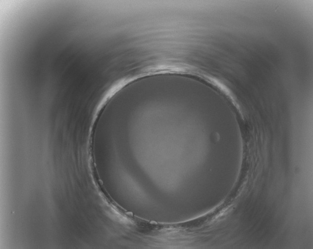 X0000062851373200601171500