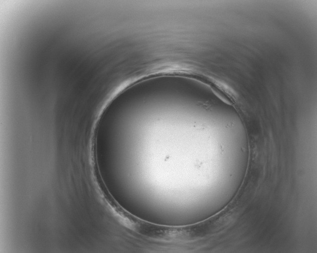 X0000062851375200601171500