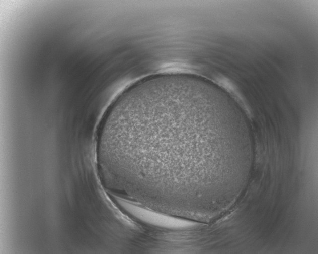 X0000062851376200601171500