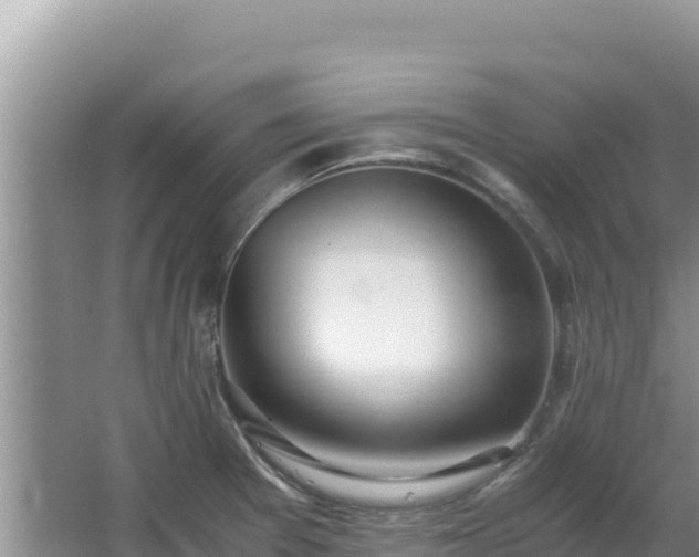 X0000062851377200601171500