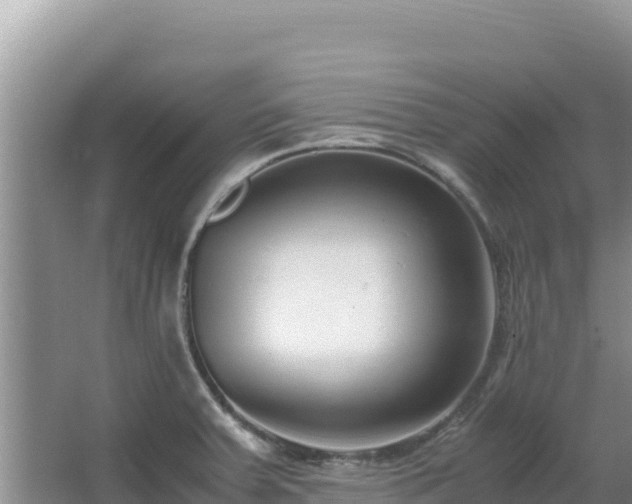 X0000062851379200601171500