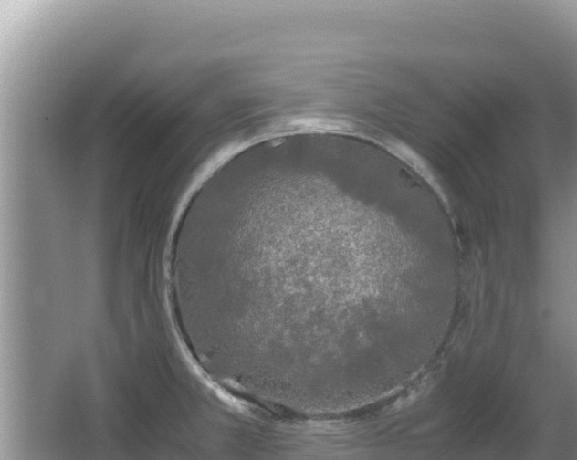 X0000062851381200601171500