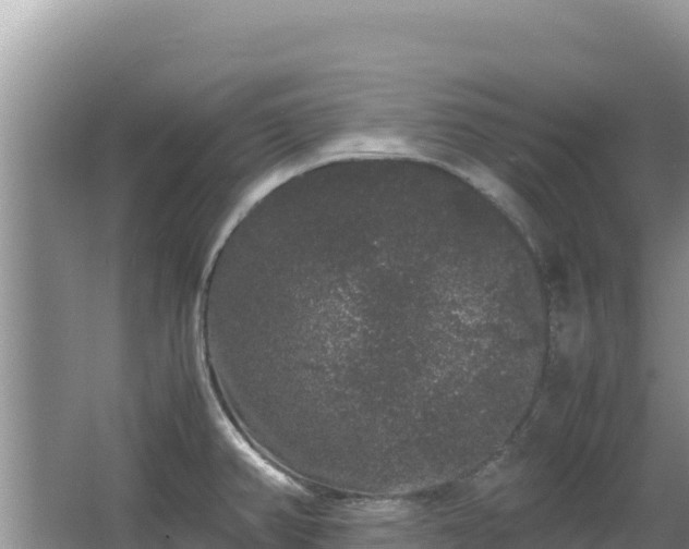 X0000062851382200601171500