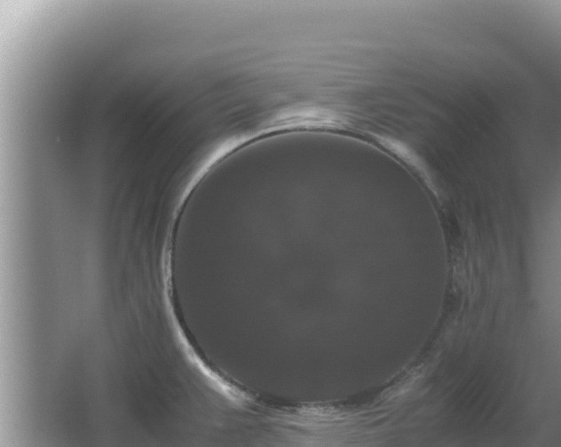 X0000062851383200601171500