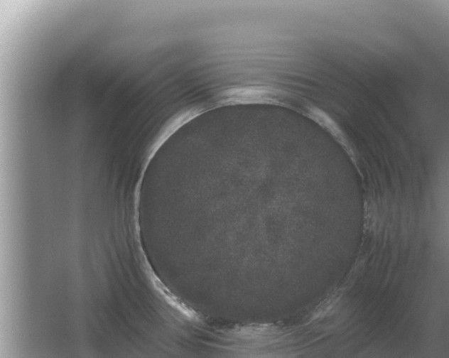 X0000062851386200601171500