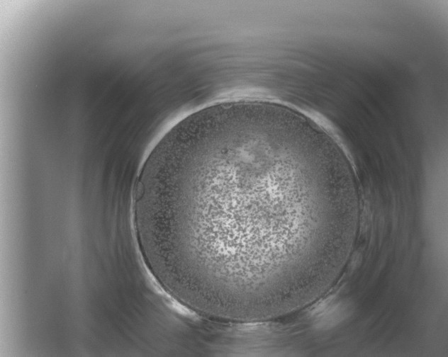 X0000062851390200601171500