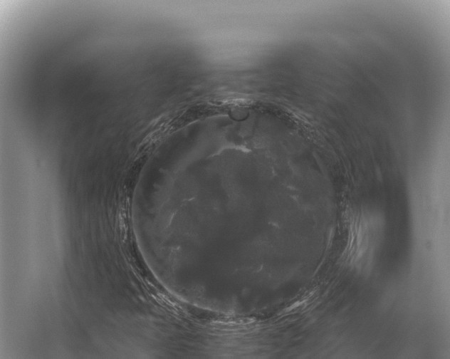 X0000062851397200601171459