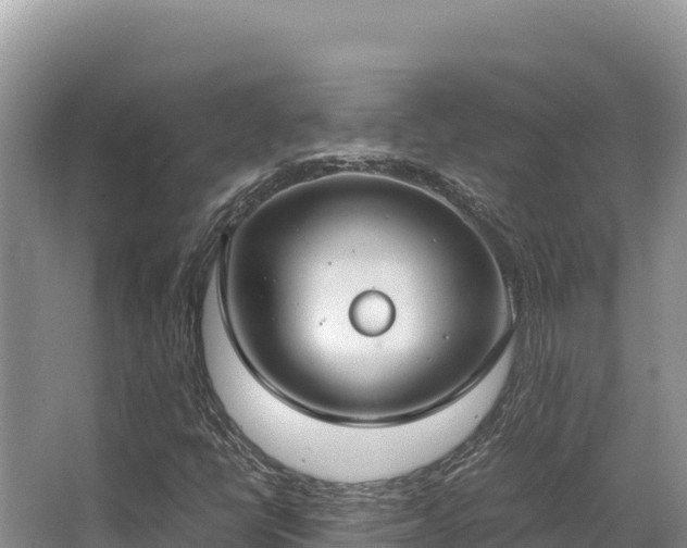 X0000062851398200601171459