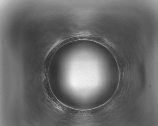 X0000062851400200601171459