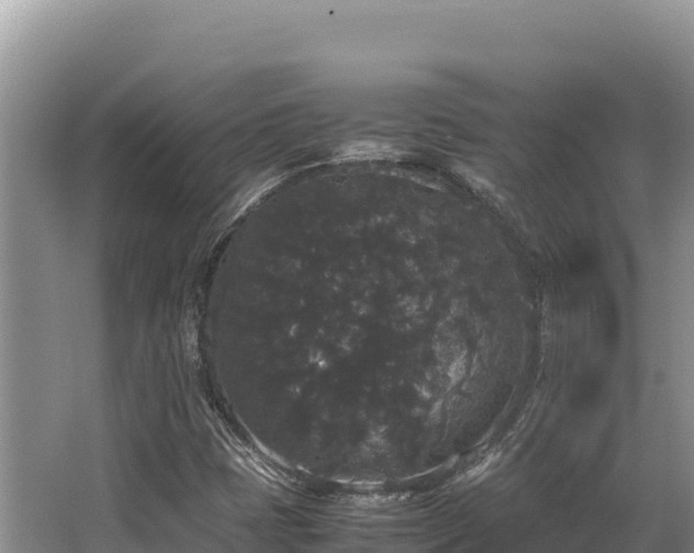 X0000062851401200601171459