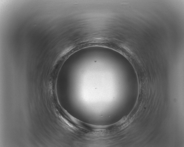 X0000062851402200601171459