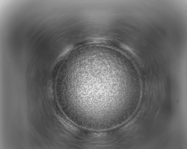 X0000062851403200601171459