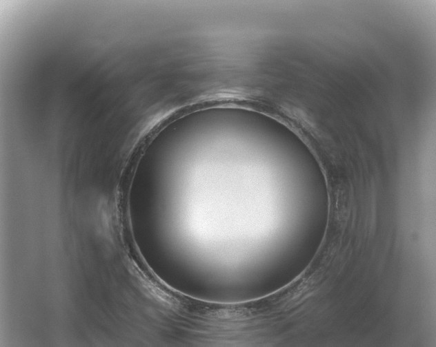 X0000062851404200601171459