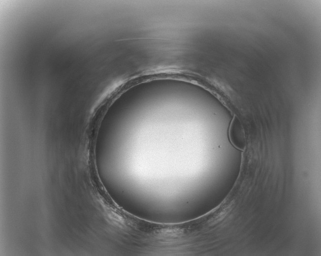 X0000062851406200601171459