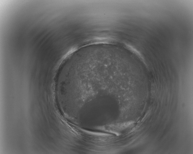 X0000062851411200601171459