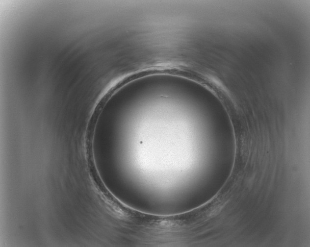 X0000062851412200601171459