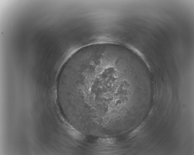 X0000062851415200601171459