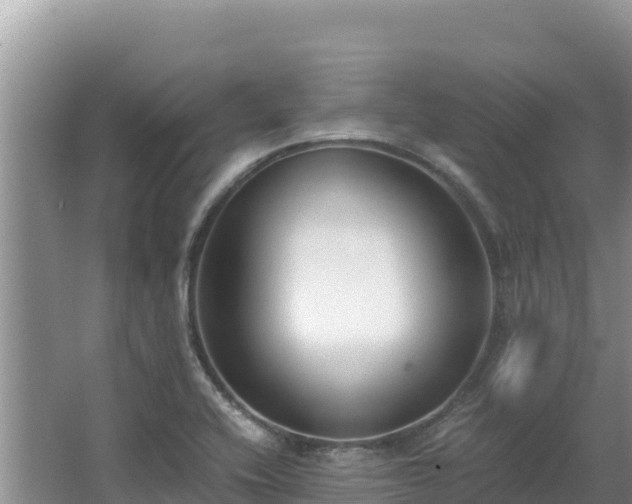 X0000062851416200601171459