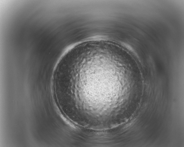 X0000062851421200601171459