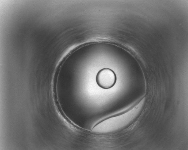 X0000062851422200601171459