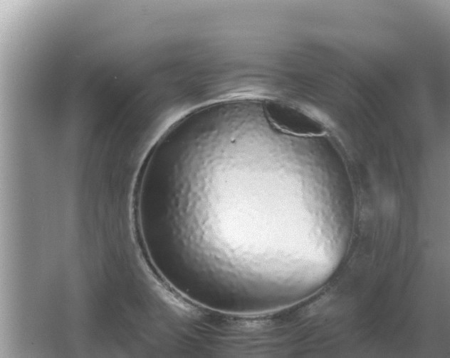 X0000062851423200601171459