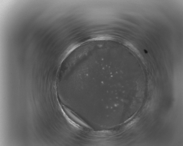 X0000062851425200601171459