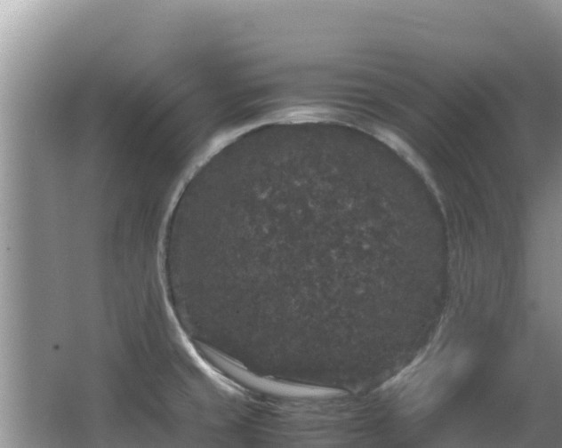 X0000062851429200601171459