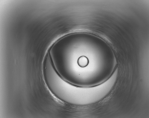 X0000062851430200601171459