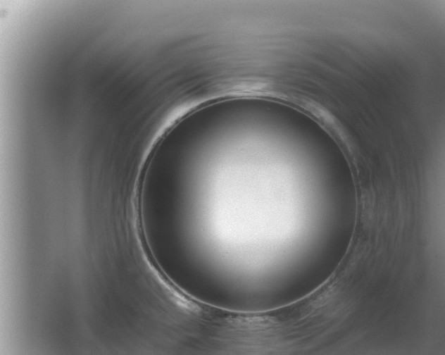 X0000062851432200601171459