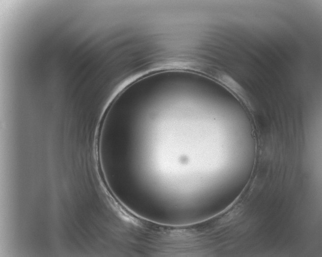 X0000062851436200601171500