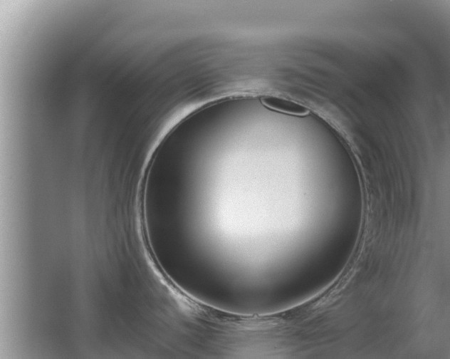 X0000062851440200601171500