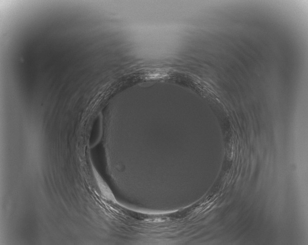 X0000062851441200601171459