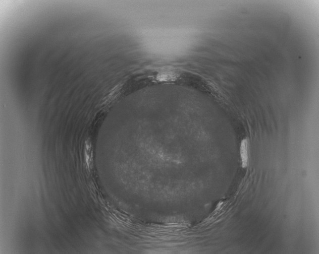 X0000062851443200601171459